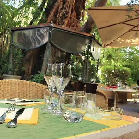 Hotel Le Windsor, Jungle Art Niza