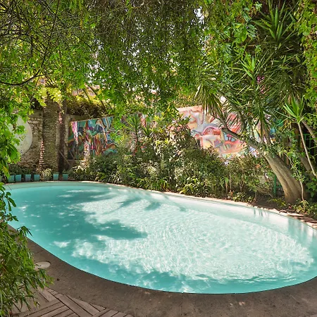 Hotel Le Windsor, Jungle Art Niza