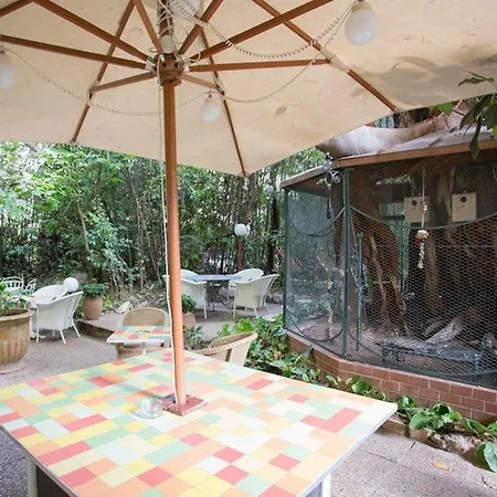 Hotel Le Windsor, Jungle Art Niza
