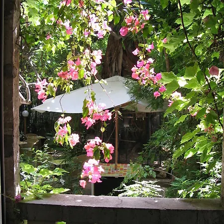 Le Windsor, Jungle Art 4* Niza