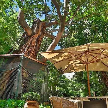 Le Windsor, Jungle Art Hotel Niza