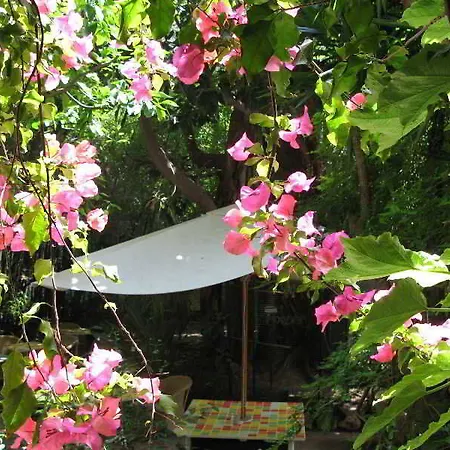 Hotel Le Windsor, Jungle Art